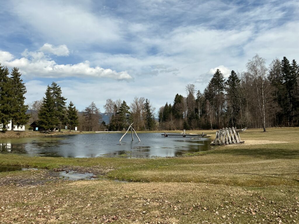 IMG_0728