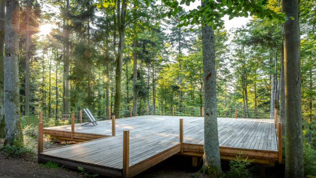 Reischlhof-WaldpSpa-Infinity-Yoga-Plattform-2
